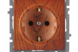 ალუბლისფერი როზეტი დამიწებით ჩარჩოს გარეშე