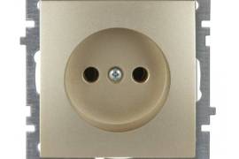 ოქროსფერი როზეტი ჩარჩოს გარეშე