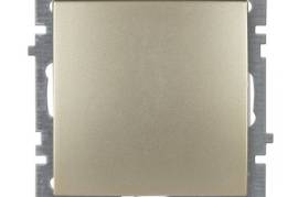 1-ანი ოქროსფერი ჩამრთველი ჩარჩოს გარეშე