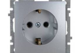 ვერცხლისფერი დამიწებიანი როზეტი