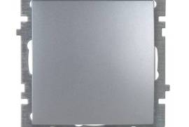 ვერცხლისფერი ჩამრთველი