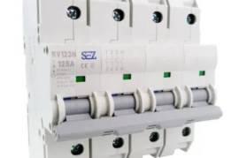 ავტ.ამომრთველი PR123N-C 125A/ 4P (10kA)