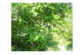 For Sale, Real Estate, Lands