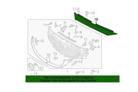 ცხაურა (აბლიცოვკა)