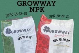 სასუქი NPK 20-20-20 GROWWAY 
