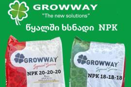 სასუქი NPK 20-20-20 GROWWAY 