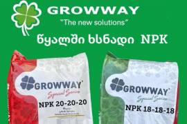 NPK 20-20-20 GROWWAY სასუქი