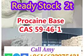 Procaine CAS 59-46-1 Procaine Base Limited Stock