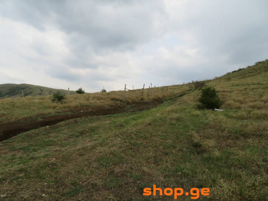 იყიდება, უძრავი ქონება, მიწის ნაკვეთები