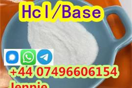 selling Procaine base CAS 59-46-1 /51-05-8 / proca