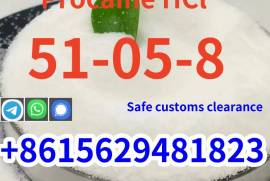 High purity cas 51-05-8 procaine Hcl hydrochloride