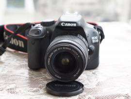 ქირავდება ფოტოაპარატი CANON EOS 550D