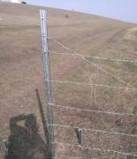 ვენახის ბოძები უჟანგავი რკინის, ჭიგო, ღუზა, საჭიმი