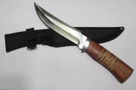 დანა akula