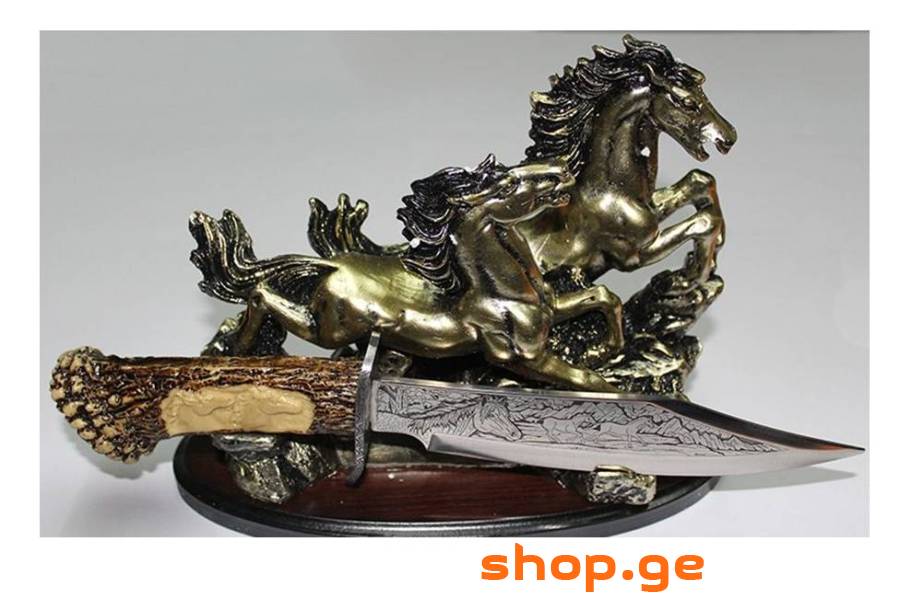 დანა Horse 2