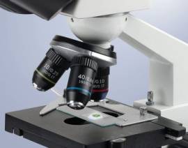150 Pcs Microscope Slides Kit