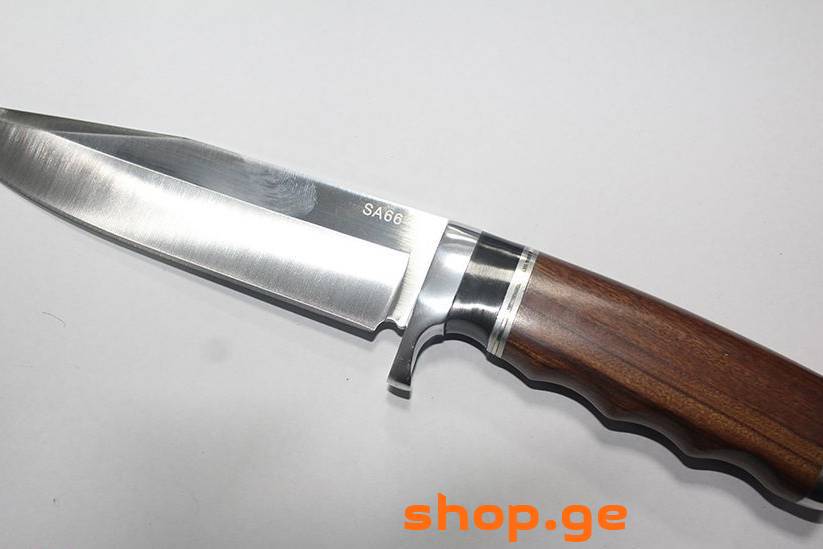 დანა SA66