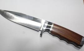 დანა SA66