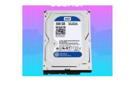 ✅ Western Digital Blue 500GB HDD