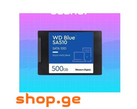 ✅ Western Digital Blue 500GB SSD