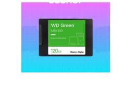 ✅ Western Digital Green 120GB SSD