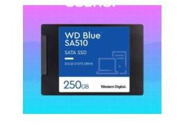 ✅ Western Digital Blue 250GB SSD