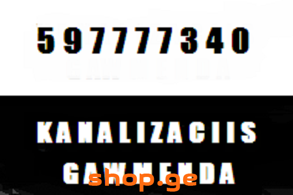 SANTEQNIKI GAMOZAXEBIT-სანტექნიკი გამოძახებით