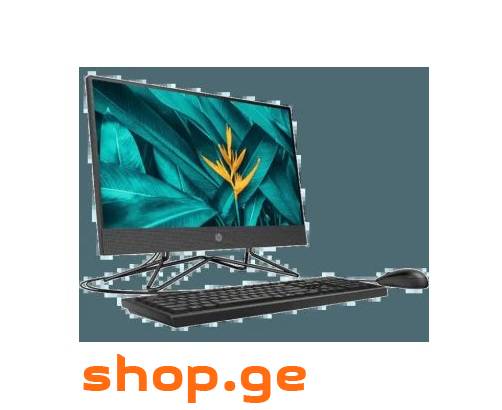 HP ALL IN ONE (i3- 10 თაობა) G4 200 (მონობლოკი)