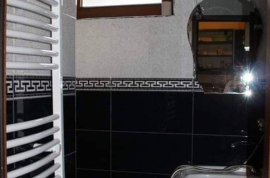 Daily rent, Real Estate, Apartments, Borjomi