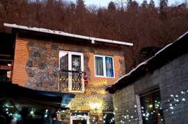 Daily rent, Real Estate, Apartments, Borjomi