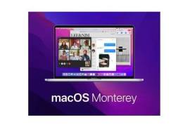 Microsoft Office Full Pack - Windows და macOS 