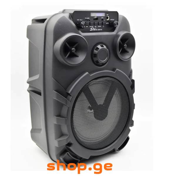 Bluetooth დინამიკი მიკროფონით და პულტით