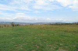 For Sale, Real Estate, Lands