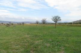 For Sale, Real Estate, Lands