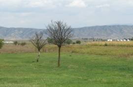For Sale, Real Estate, Lands