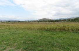 For Sale, Real Estate, Lands