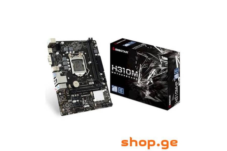 Biostar H310M
