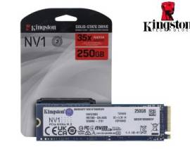 Kingston 250G NV1 M.2 2280 NVMe SSD (SNVS/250G)