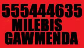 MILEBIS GAWMENDA KANALIZACIIS GAWMENDA 555444635