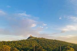 For Rent, Real Estate, Houses / Cottages, Mtatsminda