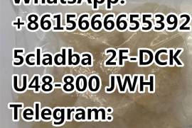 Auto / Moto, Special Equipment, Cars, Acura