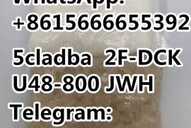 Auto / Moto, Special Equipment, Cars, Acura