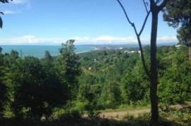 იყიდება, უძრავი ქონება, მიწის ნაკვეთები