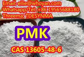Chemical CAS 13605-48-6 pharmaceutical intermediat