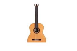 კლასიკური გიტარა F7 Paco Flamenco