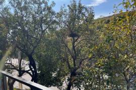 For Sale, Real Estate, Houses / Cottages, Tkhinvali