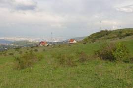 იყიდება, უძრავი ქონება, მიწის ნაკვეთები