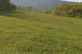 იყიდება, უძრავი ქონება, მიწის ნაკვეთები