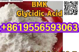 99%Purity BMK 5449-12-7 Glycidic Acid White Powder