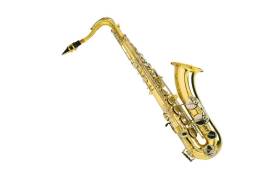 Alto Saxophone ალტ საქსაფონი "აკუსტიკა"